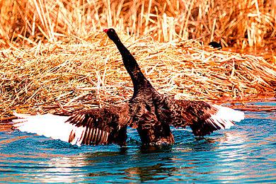 国产恐怖游戏《烟火》英文版定档 12月14日上线