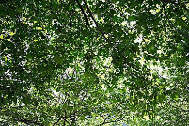 《明末：渊虚之羽》新图 女主无常远眺神秘村落